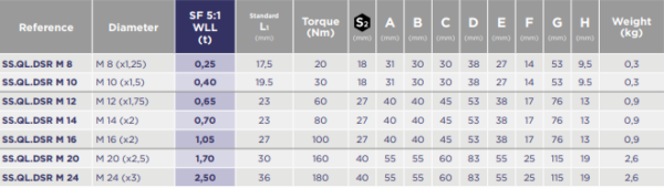 Mesures-QLDSR